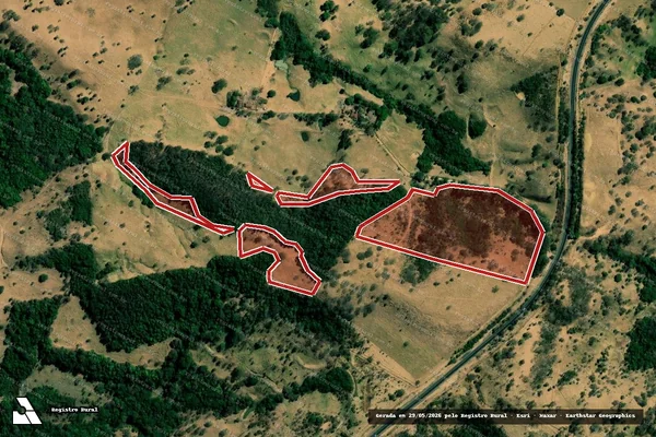 Imagem de satélite de Infração da Flora em Uberaba - MG