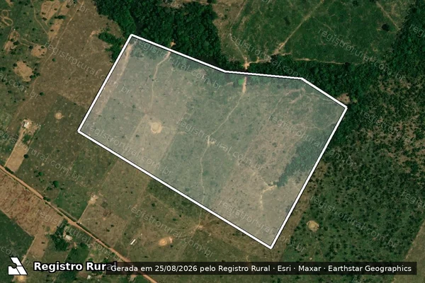 Imagem de satélite de Infração Ambiental em Porto Velho - RO