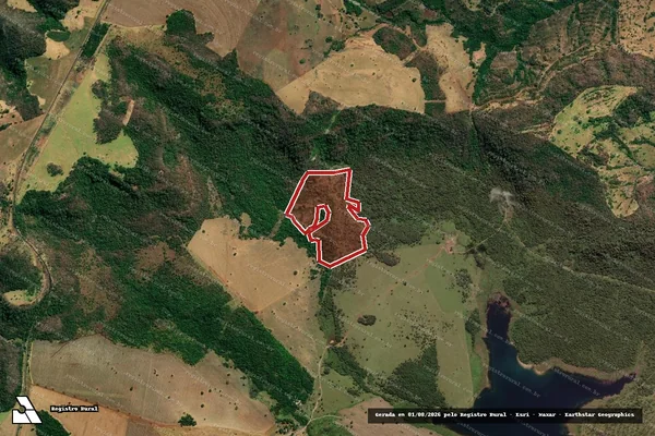 Imagem de satélite de Infração da Flora em Itumbiara - GO