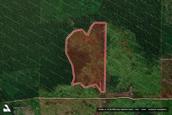 Imagem de satélite de Infração da Flora em Porto Velho - RO
