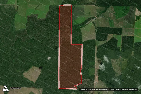 Imagem de satélite — Embargo IBAMA — Infração da Flora - Tailândia/PA