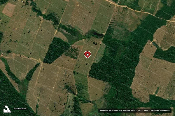 Imagem de satélite de Infração da Flora em Machadinho D'Oeste - RO (marcador da localização)