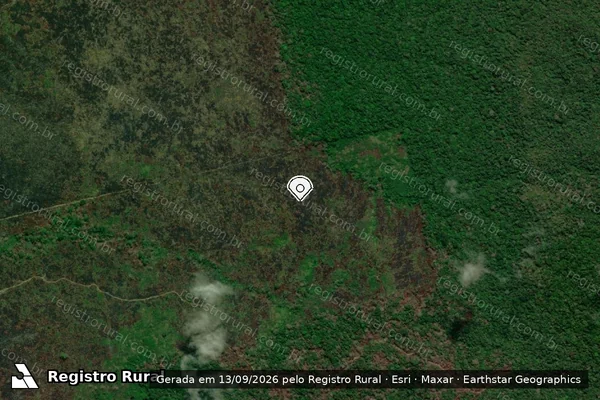 Imagem de satélite de Infração Ambiental em Manicoré - AM (marcador da localização)