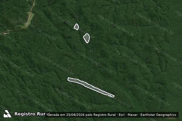 Imagem de satélite de Infração Ambiental em Itaituba - PA