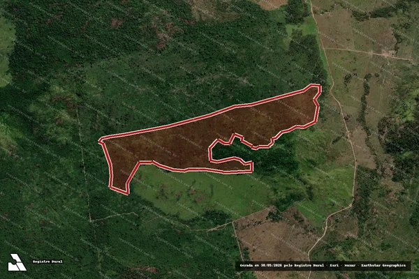Imagem de satélite de Infração da Flora em São Félix do Xingu - PA