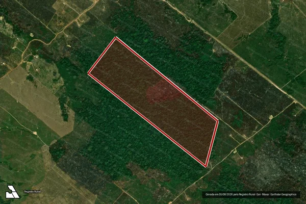 Imagem de satélite de Infração Ambiental em Porto Velho - RO
