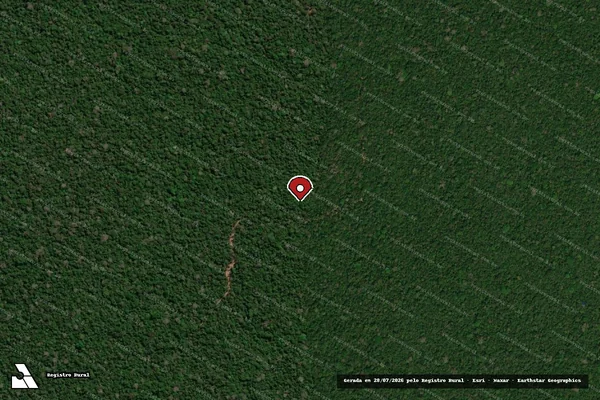 Imagem de satélite de Infração Ambiental em Colniza - MT (marcador da localização)