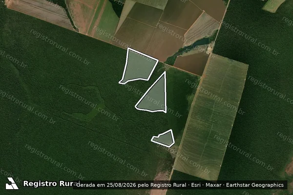 Imagem de satélite — Embargo IBAMA — Infração da Flora - Paranatinga/MT