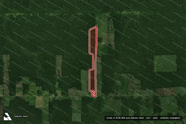 Imagem de satélite — Embargo Ambiental - Candeias do Jamari/RO