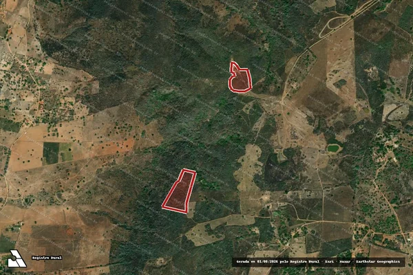 Imagem de satélite de Infração da Flora em Palmeira dos Índios - AL