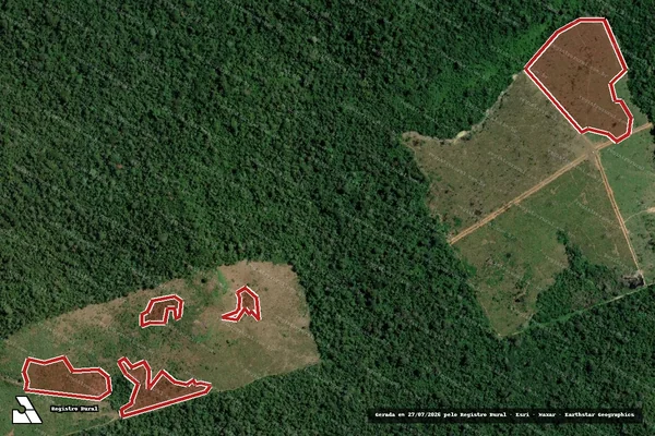 Imagem de satélite de Infração da Flora em Novo Progresso - PA