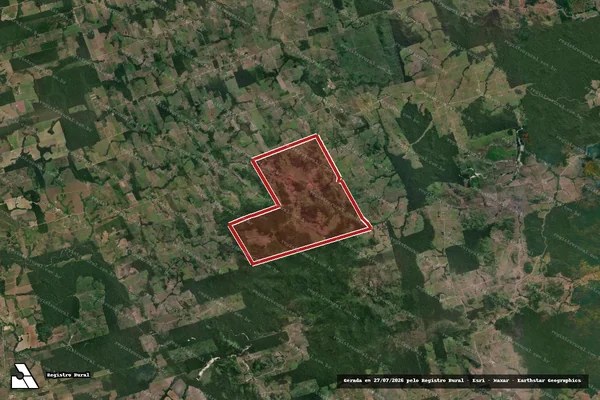 Imagem de satélite de Infração da Flora em Novo Progresso - PA