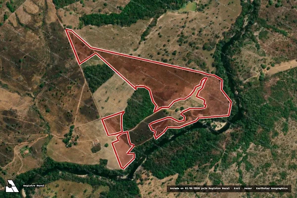 Imagem de satélite de Infração da Flora em Colinas do Sul - GO