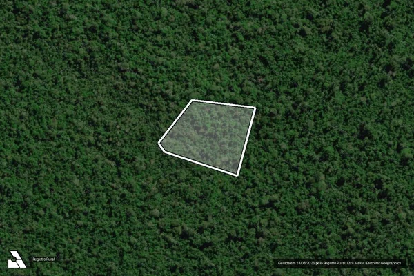 Imagem de satélite de Infração da Flora em São Félix do Xingu - PA