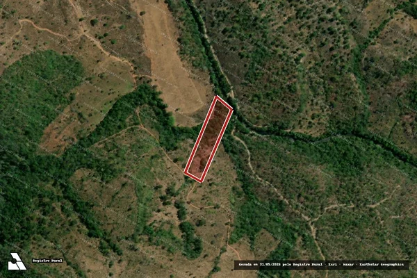Imagem de satélite de Infração Ambiental em Campinaçu - GO