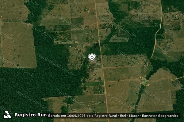 Imagem de satélite de Infração Ambiental em Guajará-Mirim - RO (marcador da localização)