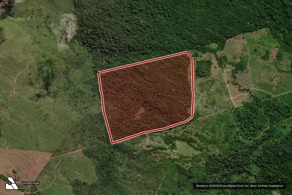 Imagem de satélite de Infração da Flora em São Félix do Xingu - PA