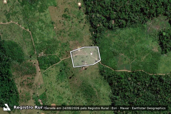 Imagem de satélite de Infração Ambiental em Brasil Novo - PA