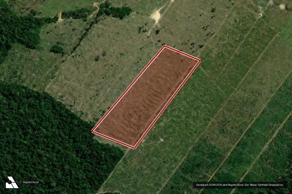 Imagem de satélite de Infração Ambiental em Porto Velho - RO