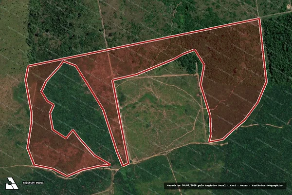 Imagem de satélite de Infração da Flora em Novo Progresso - PA