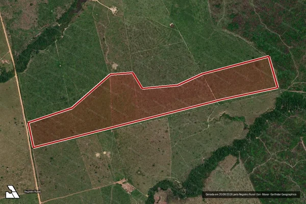Imagem de satélite de Infração Ambiental em Manicoré - AM