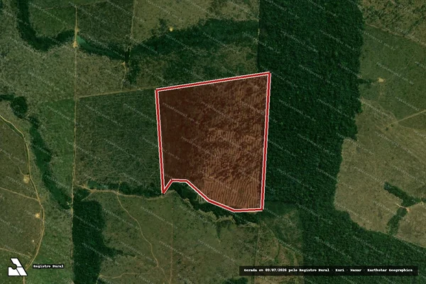Imagem de satélite de Infração Ambiental em Buritis - RO