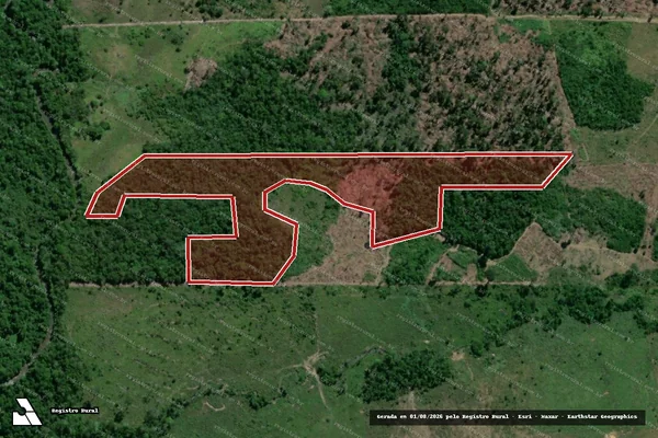 Imagem de satélite de Infração da Flora em Goianésia do Pará - PA
