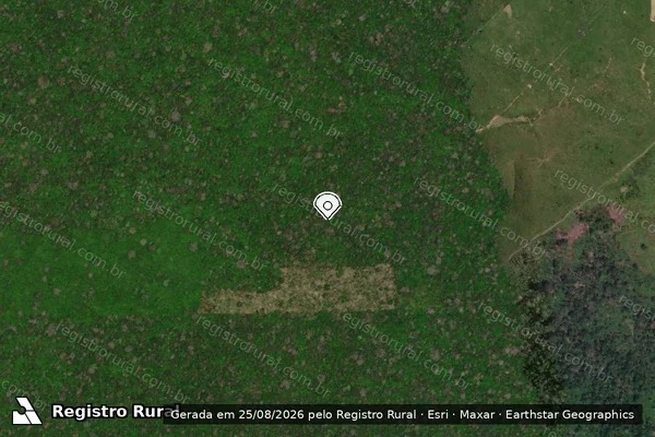 Imagem de satélite de Infração da Flora em Boca do Acre - AM (marcador da localização)