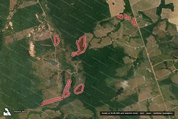 Imagem de satélite de Infração da Flora em Novo Progresso - PA
