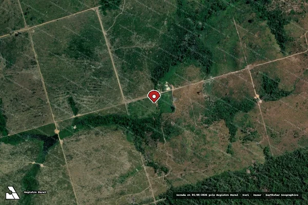 Imagem de satélite de Infração Ambiental em Novo Progresso - PA (marcador da localização)