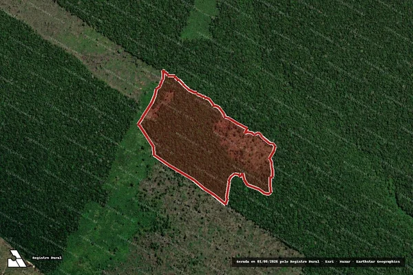 Imagem de satélite de Infração Ambiental em Canutama - AM