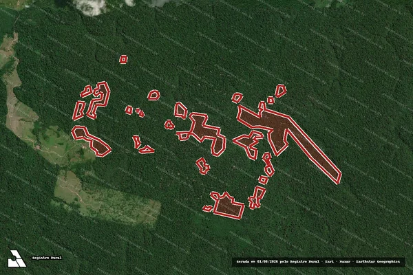 Imagem de satélite de Infração da Flora em Anapu - PA