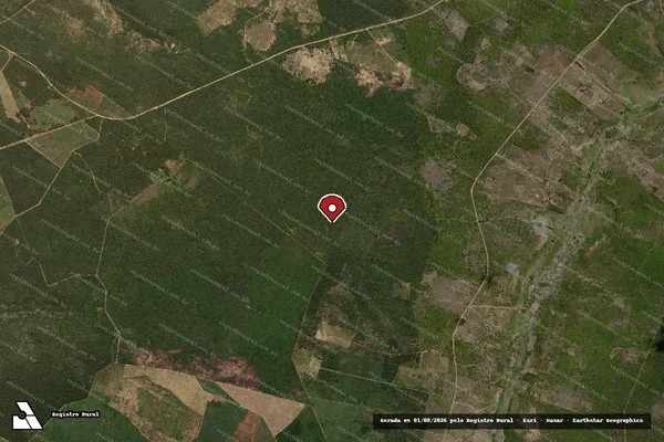 Imagem de satélite de Infração Ambiental em Encruzilhada - BA (marcador da localização)