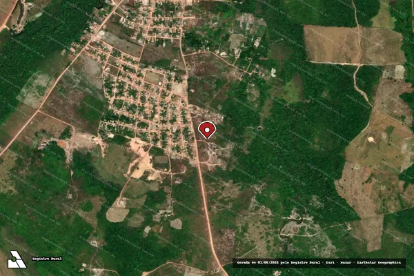 Imagem de satélite de Infração da Flora em Belém - PA (marcador da localização)