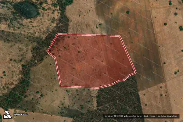 Imagem de satélite — Embargo IBAMA — Infração da Flora — Arraias/TO
