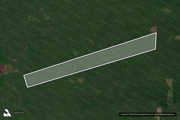Imagem de satélite de Infração Ambiental em Novo Aripuanã - AM