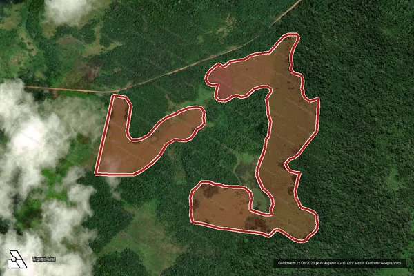 Imagem de satélite de Infração Ambiental em Caracaraí - RR