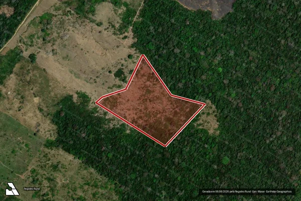 Imagem de satélite de Infração da Flora em Feijó - AC
