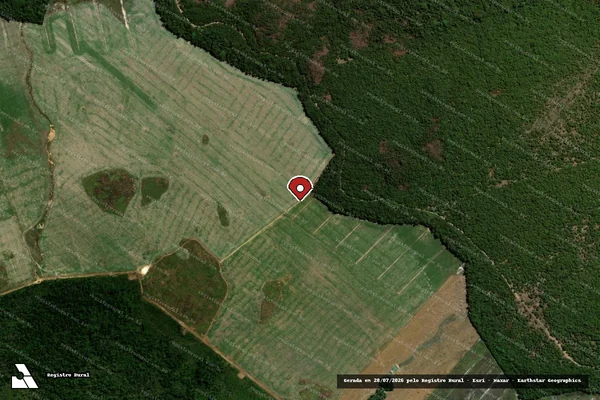 Imagem de satélite de Desmatamento em Marcelândia - MT (marcador da localização)
