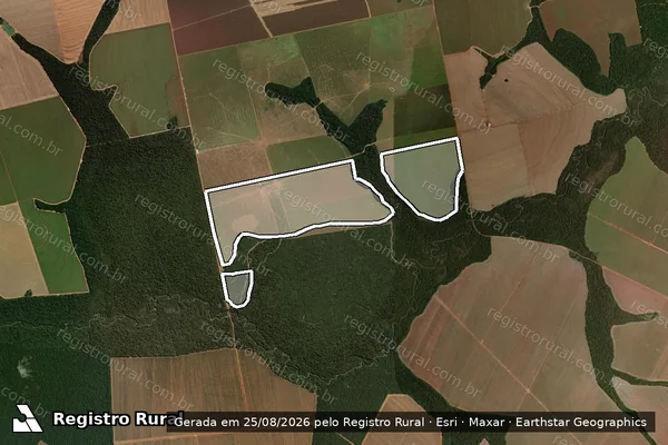 Imagem de satélite de Infração da Flora em Ipiranga do Norte - MT