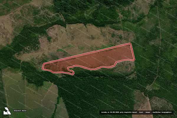 Imagem de satélite de Infração Ambiental em Aripuanã - MT