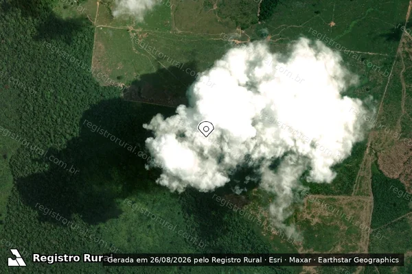 Imagem de satélite de Infração da Flora em Humaitá - AM (marcador da localização)