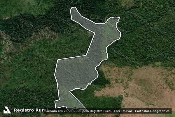 Imagem de satélite de Infração Ambiental em Colniza - MT