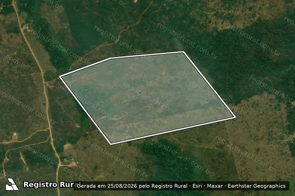 Imagem de satélite de Infração Ambiental em Uruará - PA