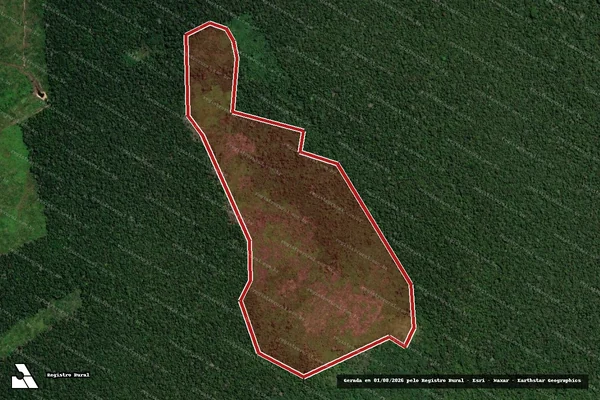 Imagem de satélite de Infração Ambiental em Canutama - AM
