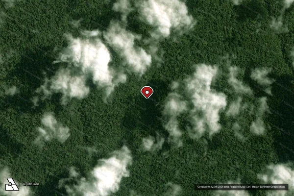 Imagem de satélite de Infração da Flora em Pacajá - PA (marcador da localização)