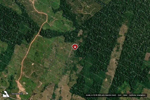 Imagem de satélite de Infração da Flora em Feijó - AC (marcador da localização)