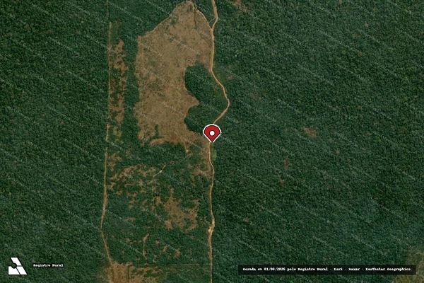 Imagem de satélite — Embargo IBAMA — Infração Ambiental — Manicoré/AM