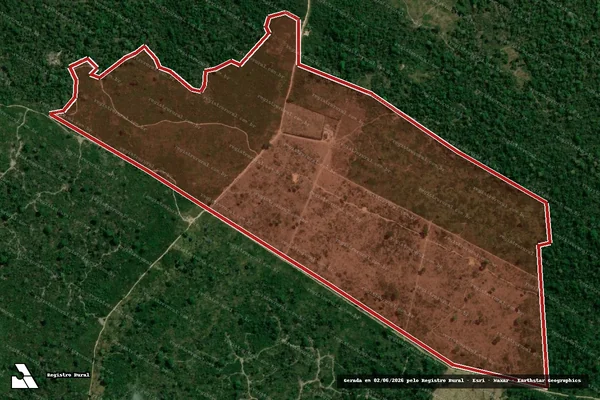 Imagem de satélite — Embargo IBAMA — Infração da Flora - Santarém/PA