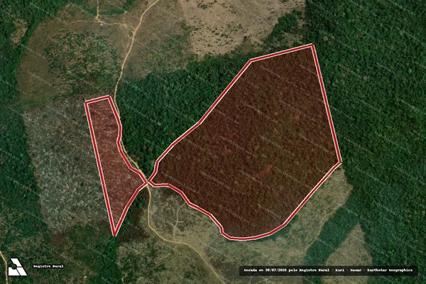Imagem de satélite de Infração da Flora em Trairão - PA